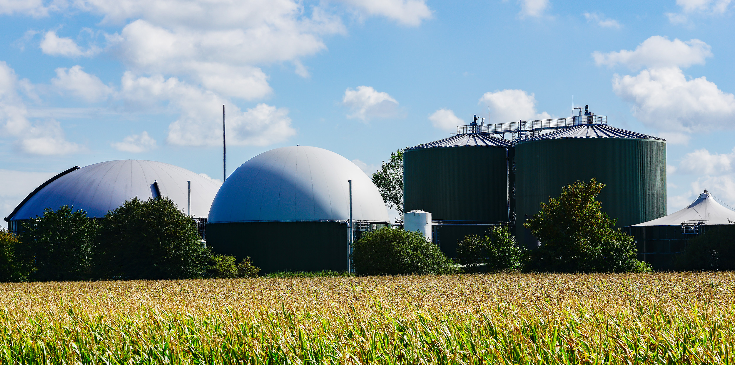 Biogas Plant