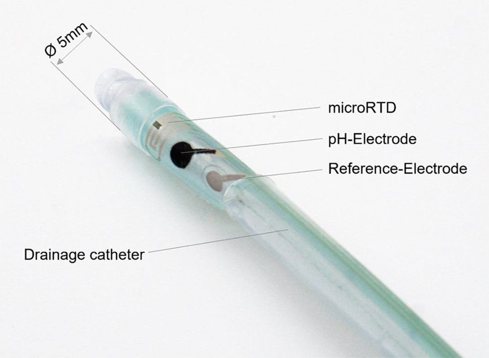 Drainage Catheter